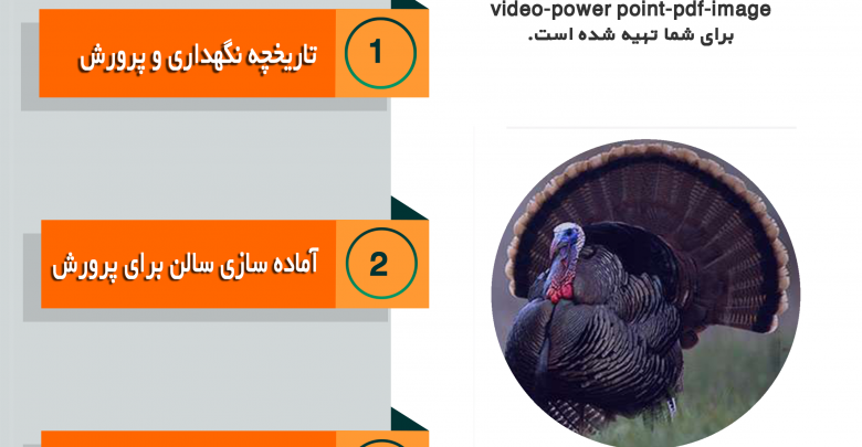پکیج آموزش پرورش بوقلمون گوشتی rar+pdf+mp4 1 پکیج یا بسته آموزش پرورش بوقلمون منتشر شد