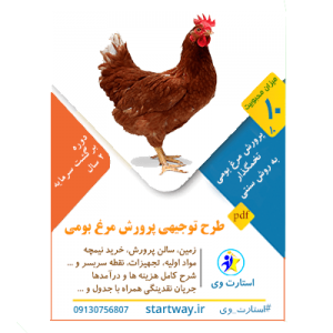 طرح توجیهی پرورش مرغ بومی تخمگذار