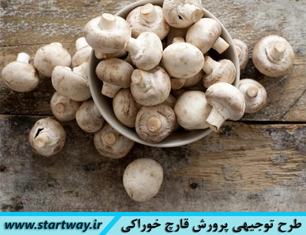 دانلود طرح توجیهی پرورش قارچ دکمه ای خوراکی (pdf doc سال 98)+آموزش 0 تا 100 راه اندازی طرح پرورش قارچ دکمه ای هزینه کاشت، سود، توجیه اقتصادی طرح توجیهی قارچ خوراکی