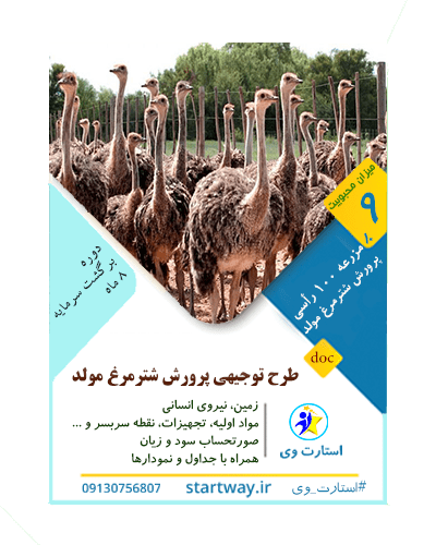 طرح توجیهی پرورش شترمرغ مولد 100 رأس