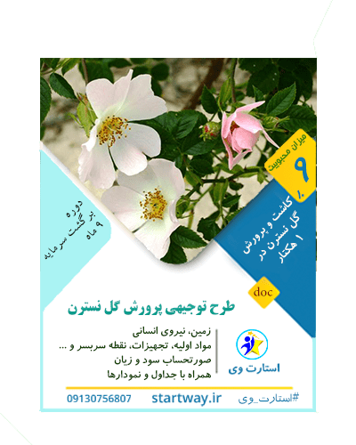 طرح توجیهی پرورش گل نسترن سفید 98 doc, pdf