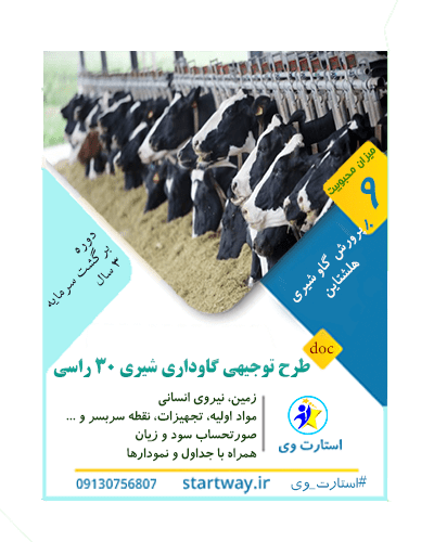 طرح توجیهی گاوداری شیری هلشتاین 30 راسی 98