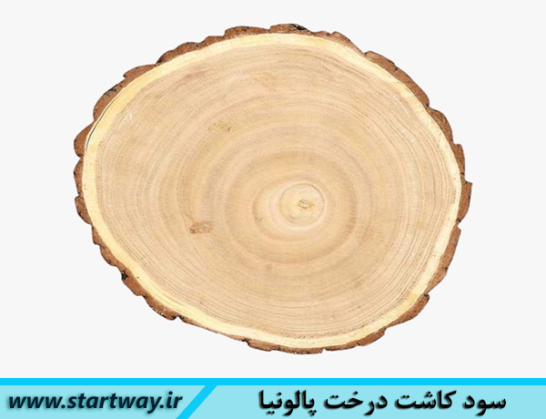 هزینه و سود کاشت درخت پالونیا در 1 هکتار بعد از 5 سال