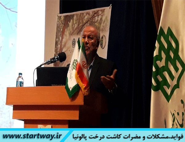 فواید،مشکلات و مضرات کاشت درخت پالونیا