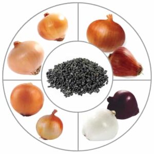 بذر و پیاز موسیر - استارت وی