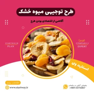 طرح توجیهی میوه خشک
