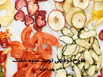 طرح توجیهی تولید میوه خشک