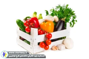 طرح توجیهی احداث گلخانه صیفی جات - استارت وی