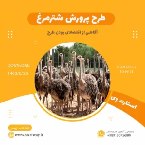 طرح توجیهی شترمرغ - استارت وی