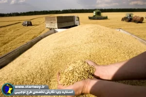 طرح شهرک غلات - استارت وی