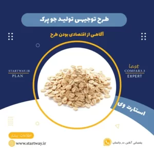 طرح توجیهی تولید جوپرک_استارت وی