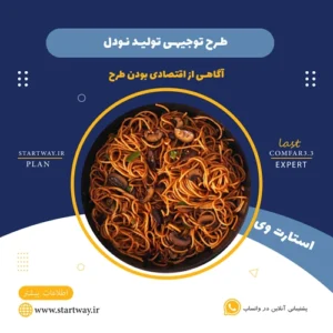 طرح توجیهی تولید نودل- استارت وی