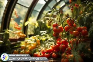 طرح توجیهی گلخانه صیفی جات -استارت وی