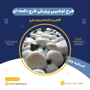طرح توجیهی پرورش قارچ دکمه ای - استارت وی