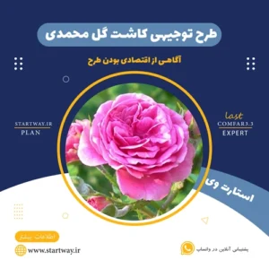 طرح توجیهی کاشت گل محمدی - استارت وی