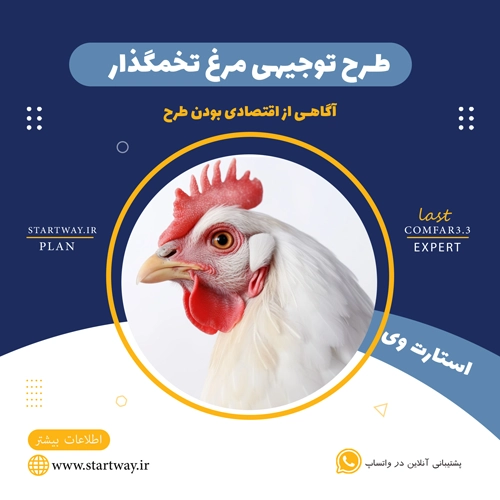 طرح توجیهی مرغ تخمگذار 1000 و 10000 قطعه ای 1404🌟(PDF+WORD) 1 طرح توجیهی مرغ تخمگذار - استارت وی