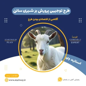 طرح توجیهی پرورش بز سانن - استارت وی