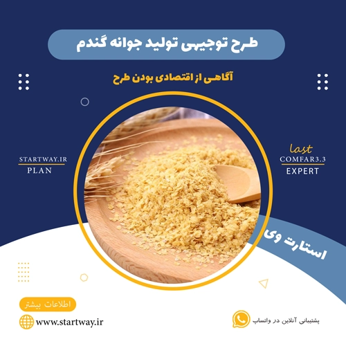 طرح توجیهی تولید جوانه گندم 🌟 (برای مجوز+وام) 1 طرح توجیهی تولید جوانه گندم-STARTWAY.IR