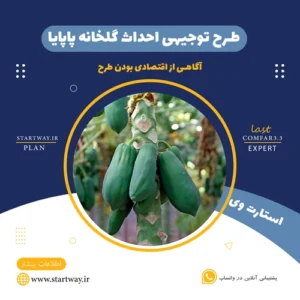 طرح توجیهی گلخانه پاپایا - استارت وی