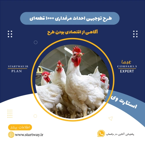 احداث مرغداری 1000 قطعه‌ای-استارت وی
