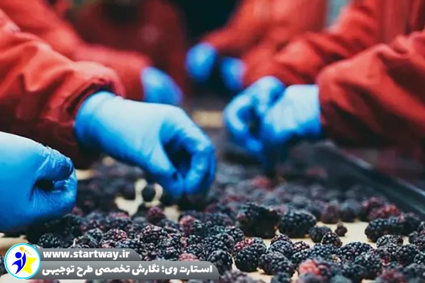 هزینه احداث کارخانه بسته بندی خشکبار-استارت وی