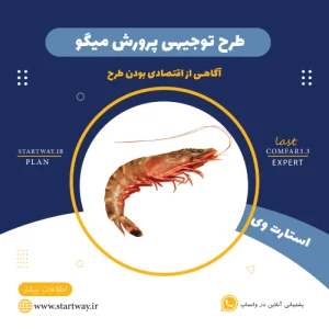 طرح توجیهی پرورش میگو