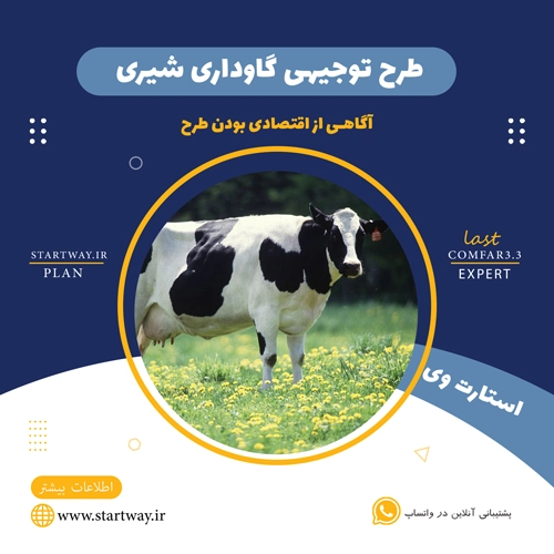 طرح توجیهی گاوداری شیری 20 راسی - استارت وی