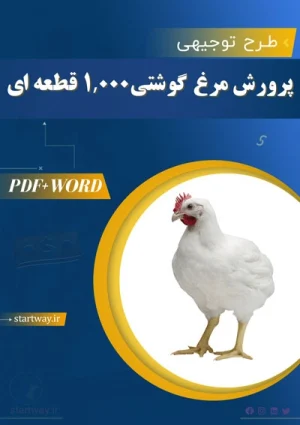 دانلود طرح توجیهی مرغ گوشتی 1,000 قطعه ای