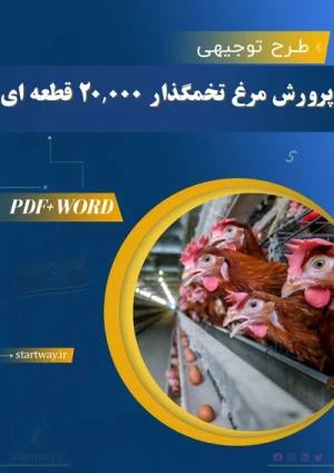 دانلود طرح توجیهی مرغ تخمگذار 20000 قطعه‌ای