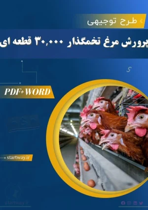 دانلود طرح توجیهی مرغ تخمگذار 30,000 قطعه‌ای