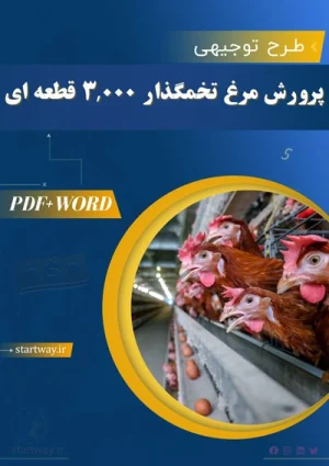 دانلود طرح توجیهی مرغ تخمگذار 3000 قطعه‌ای