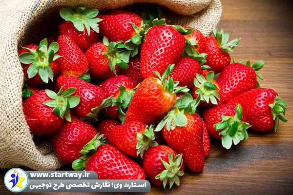 طرح توجیهی احداث گلخانه توت‌ فرنگی - استارت وی