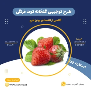 طرح توجیهی گلخانه توت‌ فرنگی - استارت وی
