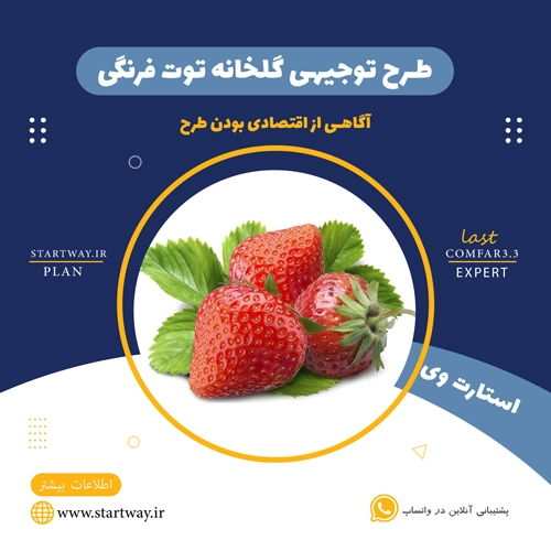 طرح توجیهی گلخانه توت فرنگی 1404 🍓(PDF + Word هزینه و درآمد) 1 طرح توجیهی گلخانه توت فرنگی - استارت وی