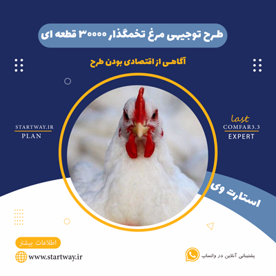 طرح توجیهی مرغ تخمگذار 30000 قطعه ای سال 1404(PDF+WORD) 1 طرح توجیهی مرغ تخمگذار 30000 قطعه ای