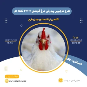 طرح توجیهی پرورش مرغ گوشتی 20000 قطعه‌ ای - استارت وی