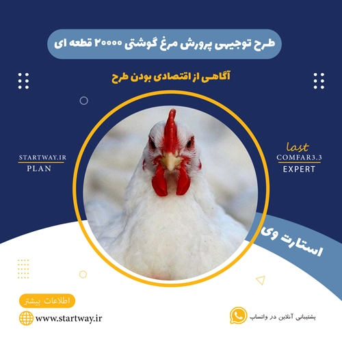 طرح توجیهی پرورش مرغ گوشتی 20000 قطعه ای 1404 1 طرح توجیهی پرورش مرغ گوشتی 20000 قطعه ای - استارت وی