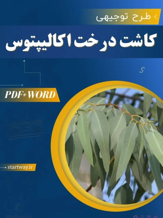 دریافت طرح امکانسجی اقتصادی زراعت اکالیپتوس