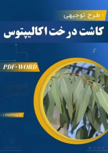 کاشت درخت اکالیپتوس 1 STARTWAY.IR10 - استارت وی