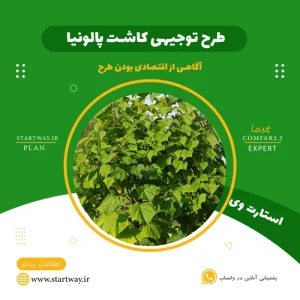 طرح توجیهی کاشت درخت پالونیا - استارت وی