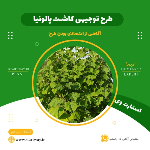 طرح توجیهی کاشت درخت پالونیا سال 1404 🌟(PDF+WORD) 23 طرح توجیهی کاشت درخت پالونیا - استارت وی