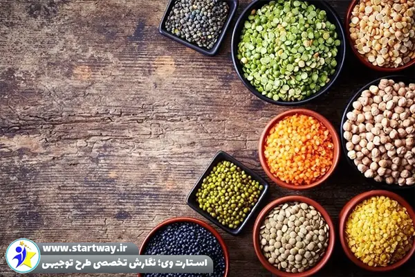 طرح توجیهی فرآوری و بسته بندی حبوبات - استارت وی