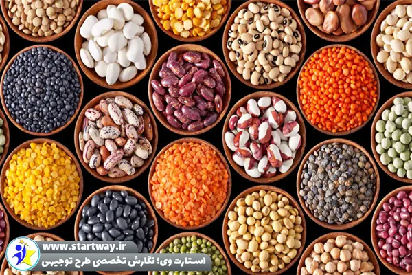 طرح توجیهی بسته بندی حبوبات - استارت وی