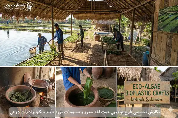 طرح توجیهی تولید بیوپلاستیک از جلبک - استارت وی