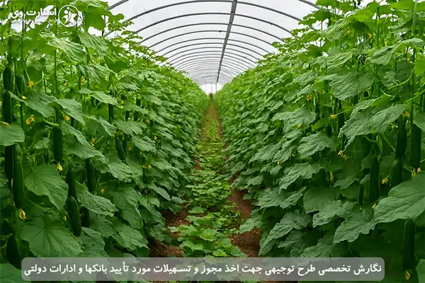 طرح توجیهی احداث گلخانه خیار - استارت وی