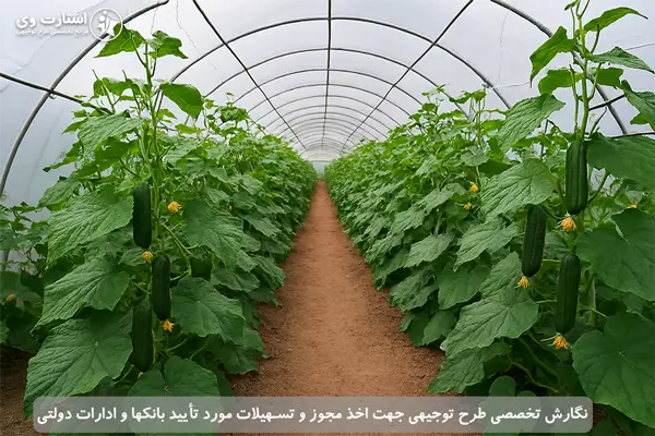 طرح توجیهی ساخت گلخانه خیار - استارت وی