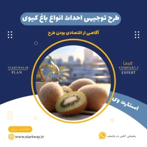 طرح توجیهی باغ کیوی-استارت وی
