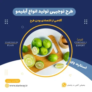 طرح توجیهی تولید آبلیمو-استارت وی