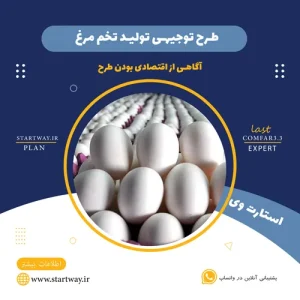 طرح توجیهی تولید تخم مرغ_استارت وی