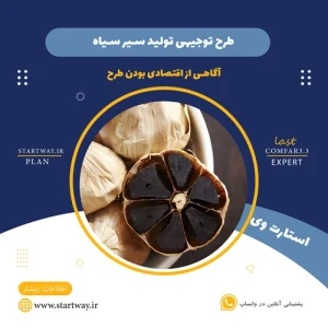 طرح توجیهی تولید سیر سیاه- استارت وی